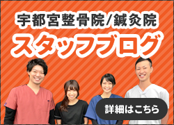 スタッフブログ